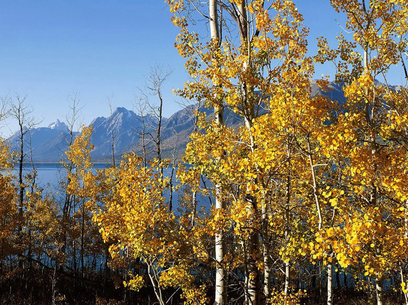 次韵光祖避地眉溪十绝·其二原文注释译文赏析-陈渊诗词-宋诗全集