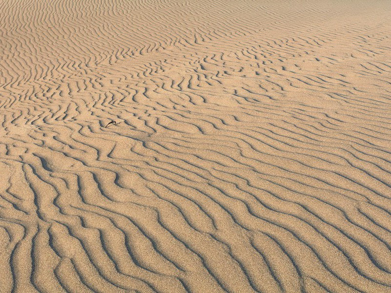 登徐州城楼原文注释译文赏析-刘摰诗词-宋诗全集