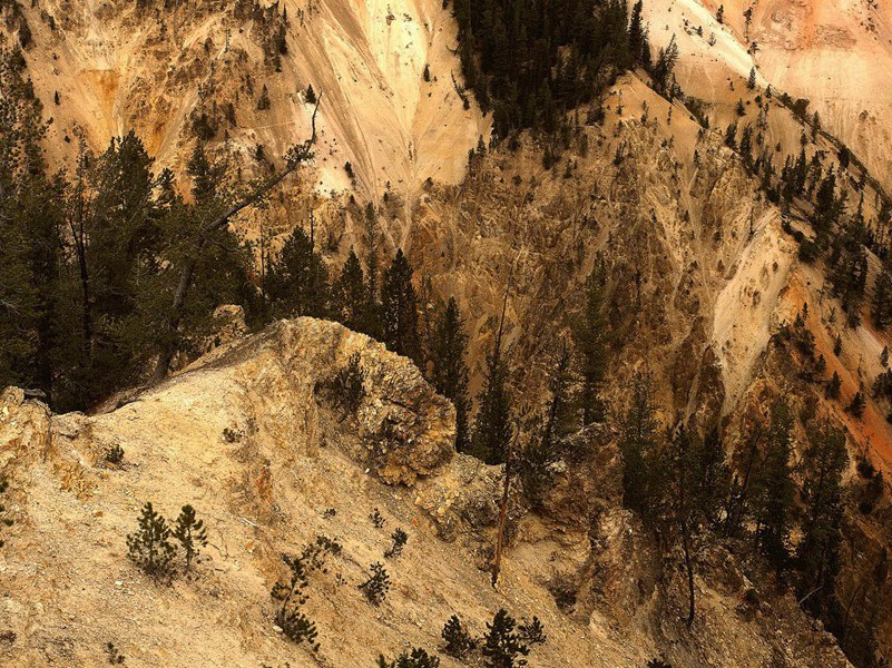 彭尉焚巢二首·其一原文注释译文赏析-陈造诗词-宋诗全集