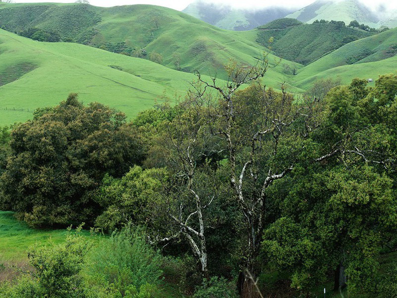吕翁祠原文注释译文赏析-陈孚诗词-宋诗全集