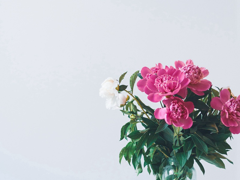 牛头山寺原文注释译文赏析-程公许诗词-宋诗全集