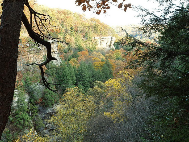 游宁国奉圣寺原文注释译文赏析-范成大诗词-宋诗全集