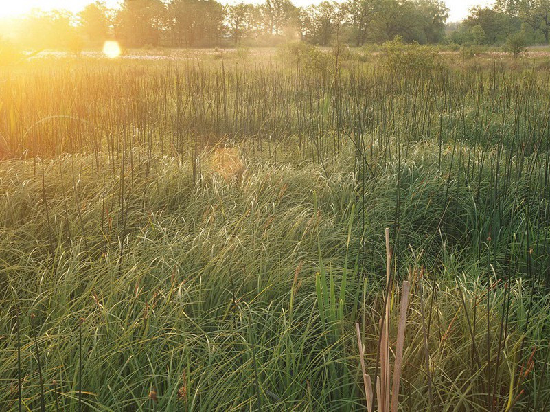 次韵子真会灵源庙池亭原文注释译文赏析-黄庭坚诗词-宋诗全集