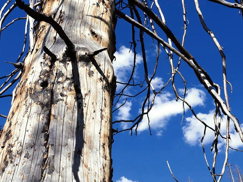 奉送季清赴山东幕府原文注释译文赏析-程珌诗词-宋诗全集