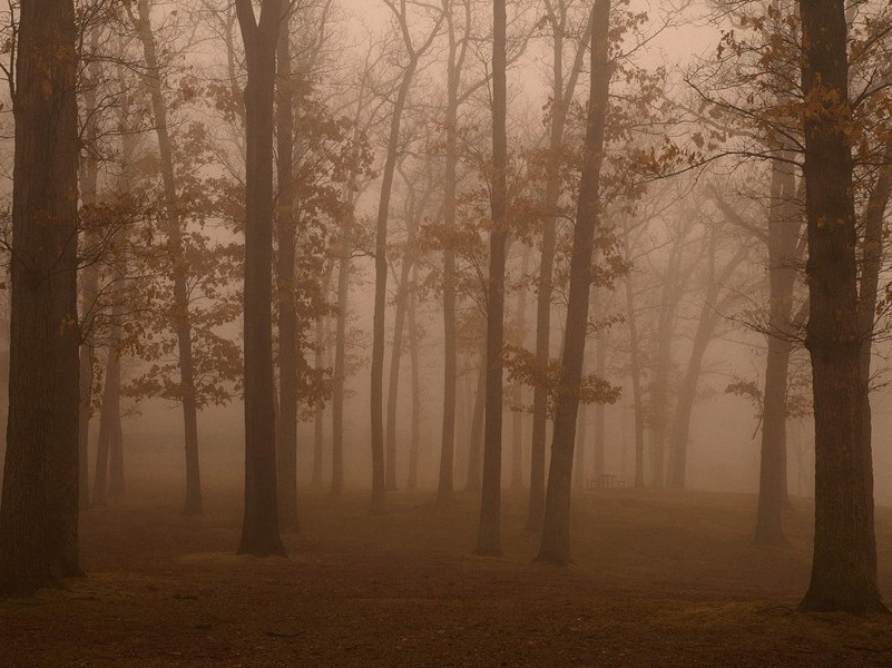 句原文注释译文赏析-胡宏诗词-宋诗全集