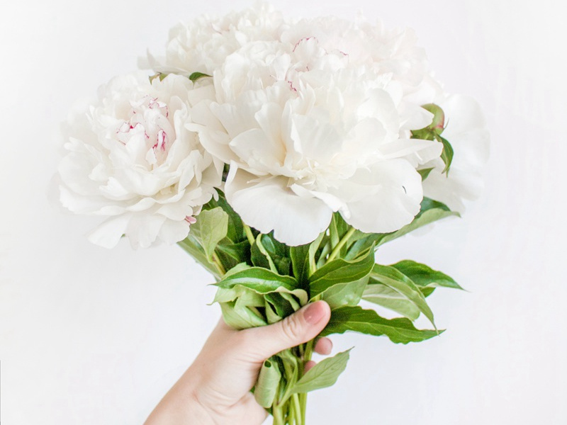 和王有道二首·其一原文注释译文赏析-曹勋诗词-宋诗全集