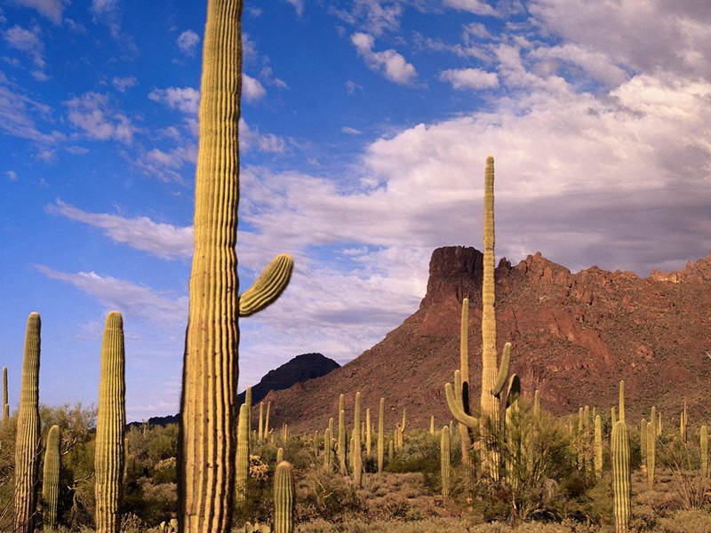 发箧得亡友书札原文注释译文赏析-蔡襄诗词-宋诗全集