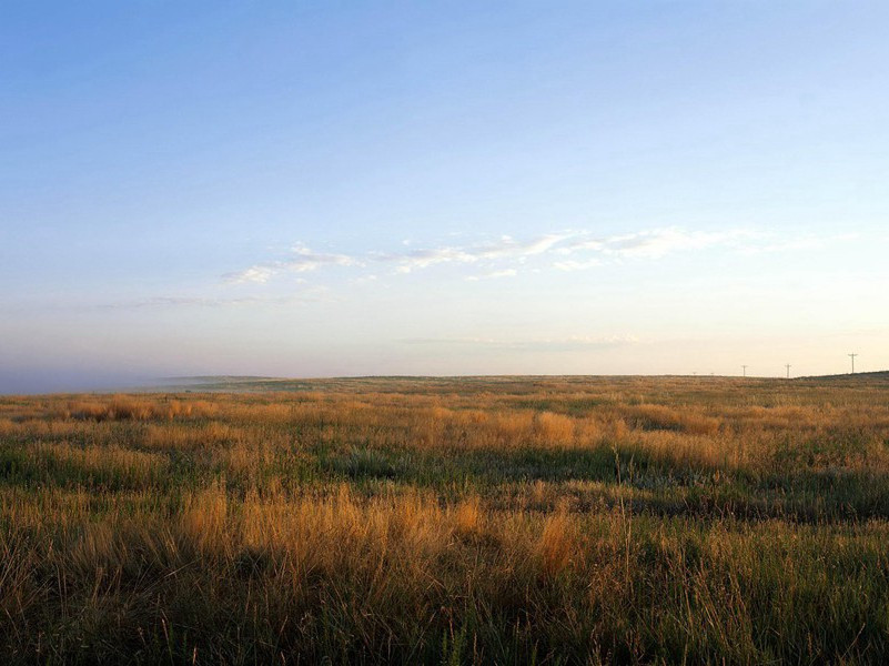 暑中杂兴·其二原文注释译文赏析-方岳诗词-宋诗全集