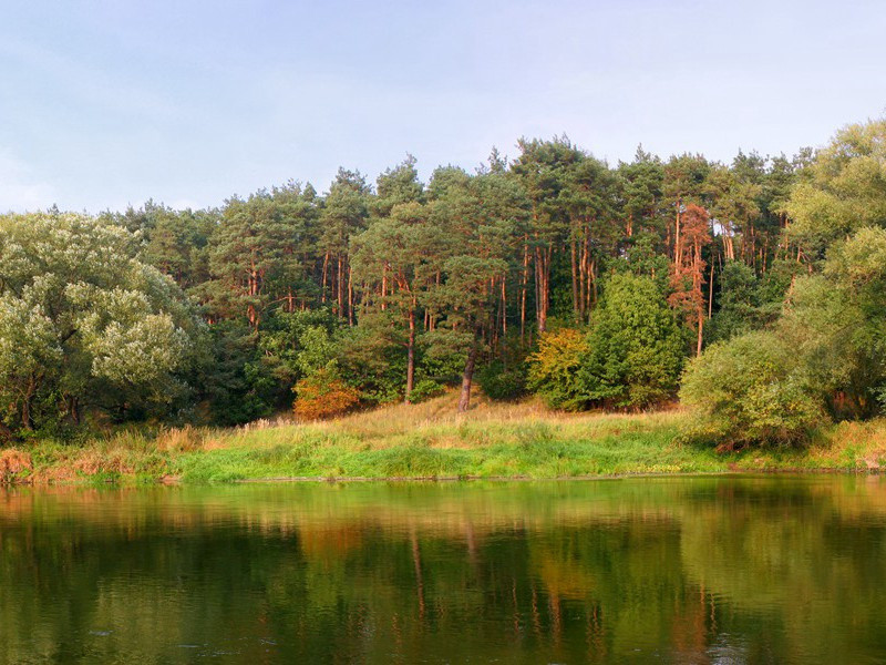 再次韵·其一原文注释译文赏析-陈造诗词-宋诗全集