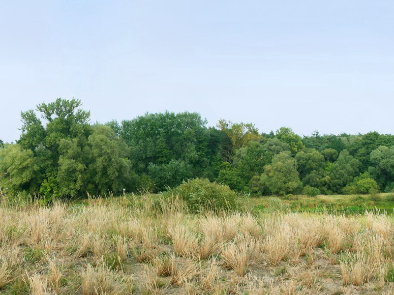 梅花集句·其一二二原文注释译文赏析-李龏诗词-宋诗全集