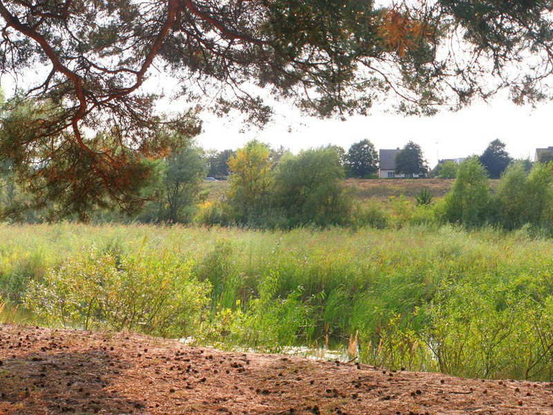 钱大参有和用韵谢之七首·其五原文注释译文赏析-曹勋诗词-宋诗全集