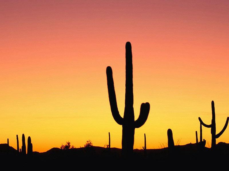 送勤上人归吴中原文注释译文赏析-蔡襄诗词-宋诗全集