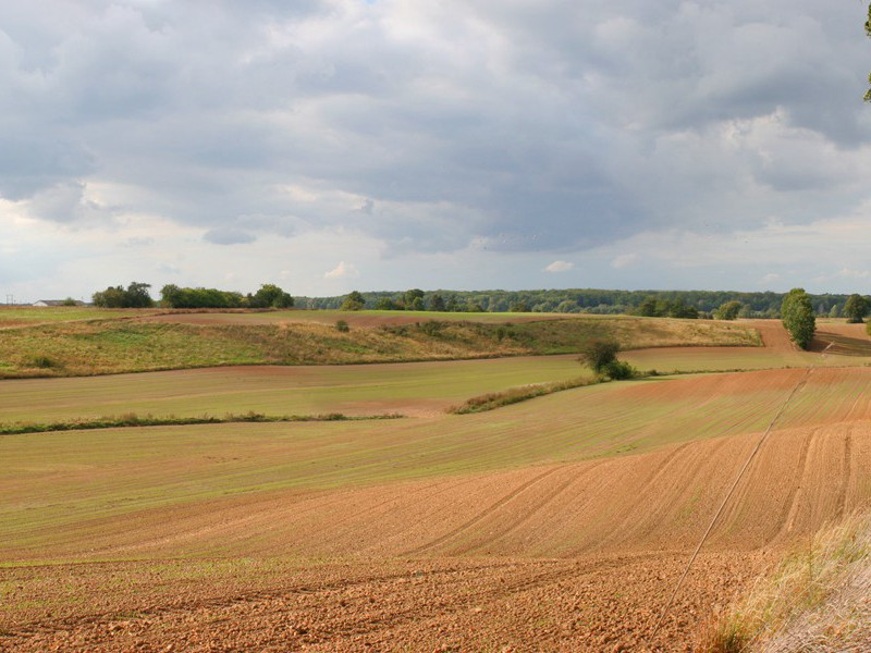 霜后纪园中草木十二绝·其七原文注释译文赏析-范成大诗词-宋诗全集