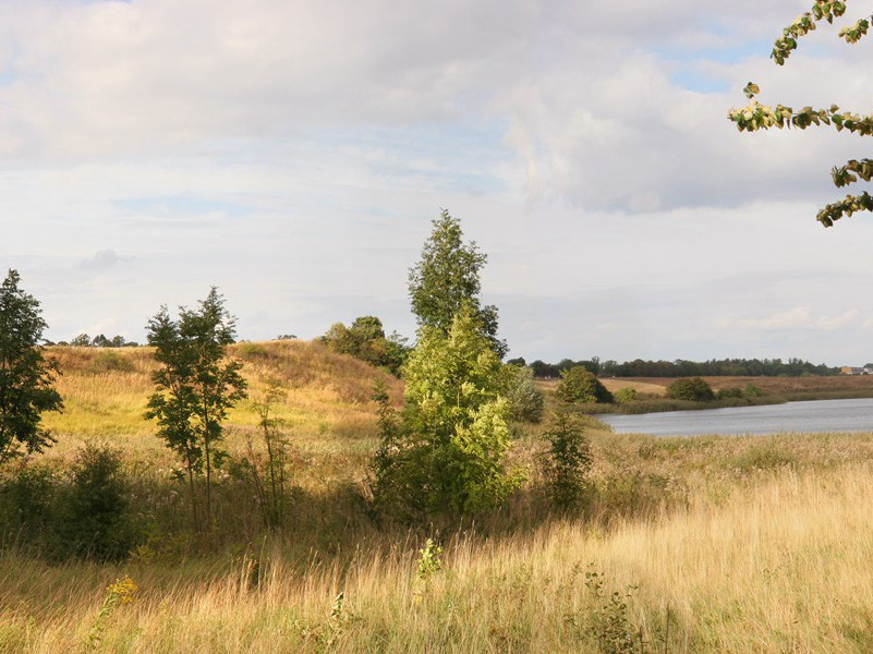 又和·其八原文注释译文赏析-郭祥正诗词-宋诗全集