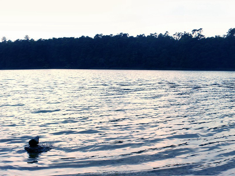 呈古洲老人原文注释译文赏析-华岳诗词-宋诗全集