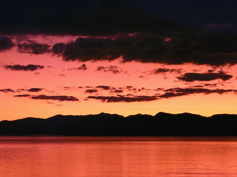 杂咏下·垂丝海棠原文注释译文赏析-洪适诗词-宋诗全集