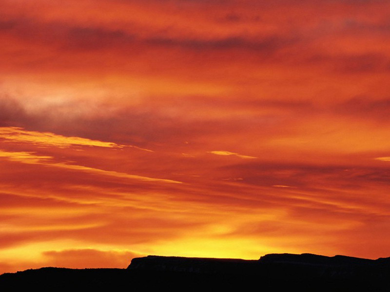 戴帅初九日无憀以满城风雨近重阳为韵七首袖而示余因次其韵·其七原文注释译文赏析-陈着诗词-宋诗全集