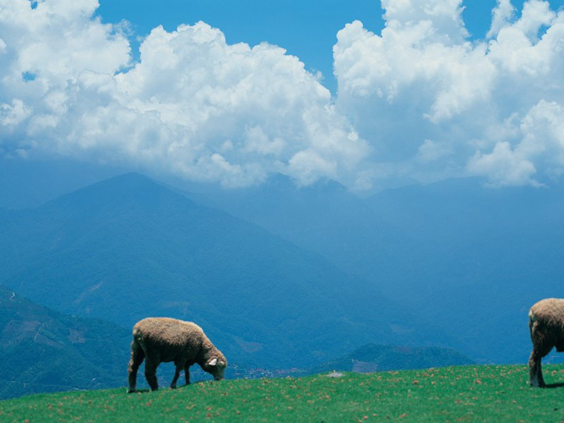 兄弟醵饮访雪航次弟观韵二首·其一原文注释译文赏析-陈着诗词-宋诗全集