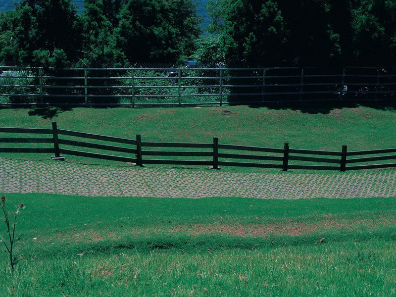 送陈养晦谒阆风舒先生四首·其三原文注释译文赏析-戴表元诗词-宋诗全集