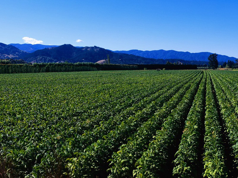还乡展省道中作四声诗寄豫章寮友·其二原文注释译文赏析-孔平仲诗词-宋诗全集