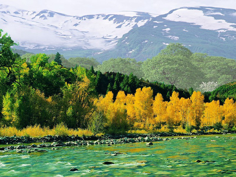 深坞寺原文注释译文赏析-陈天麟诗词-宋诗全集