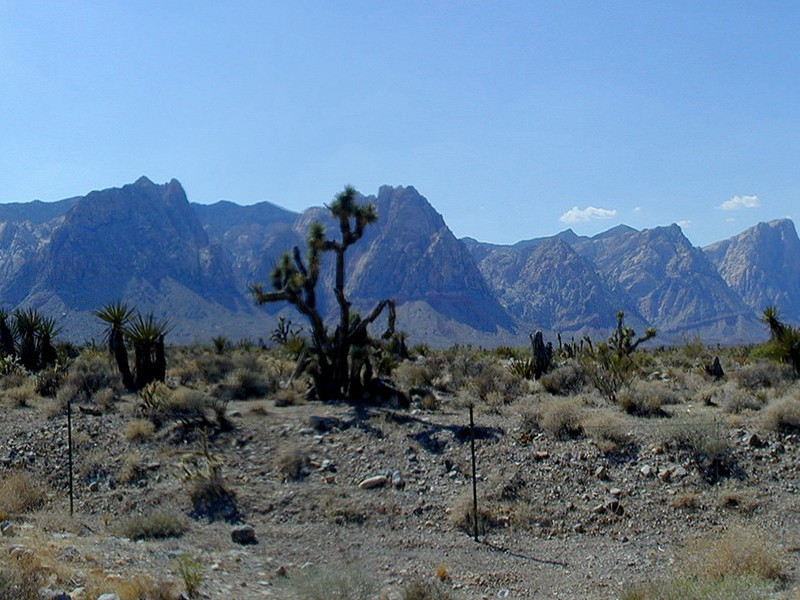 赠时升原文注释译文赏析-郭印诗词-宋诗全集