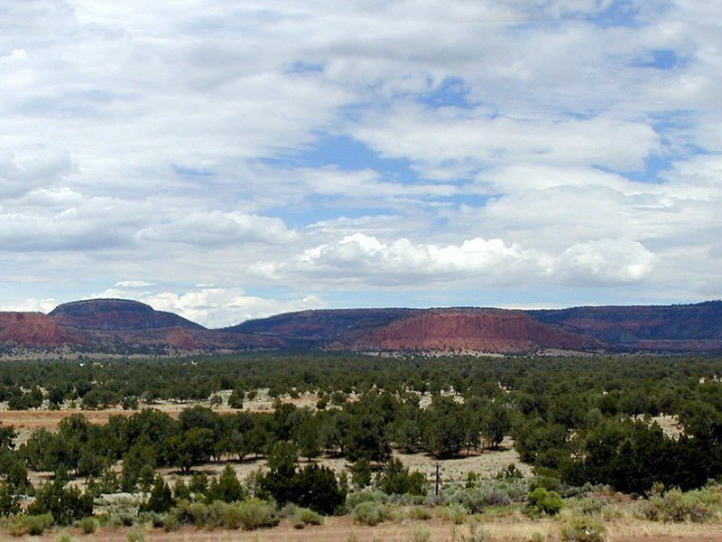 解汤延祖字原文注释译文赏析-李觏诗词-宋诗全集