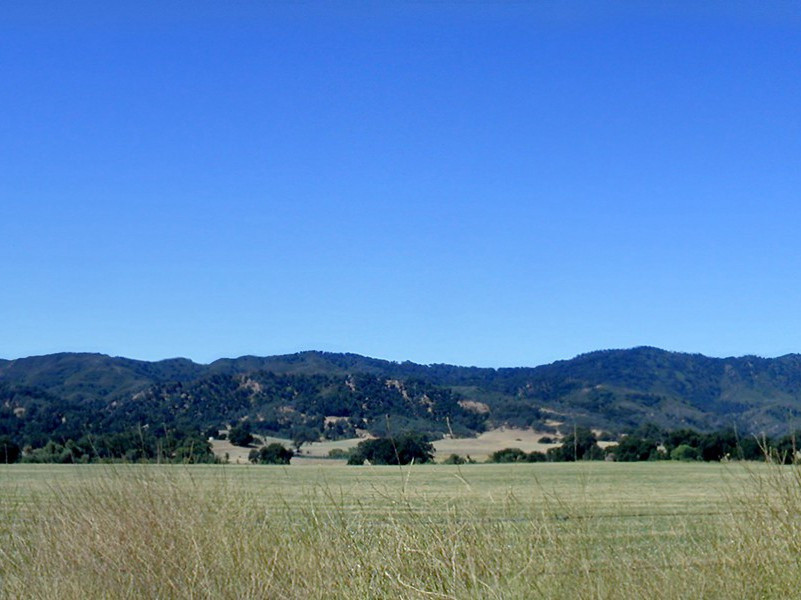 固城湖原文注释译文赏析-崔敦礼诗词-宋诗全集