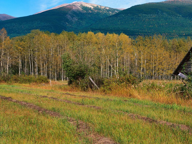 隆兴书堂自警三十五首·其一三原文注释译文赏析-陈淳诗词-宋诗全集
