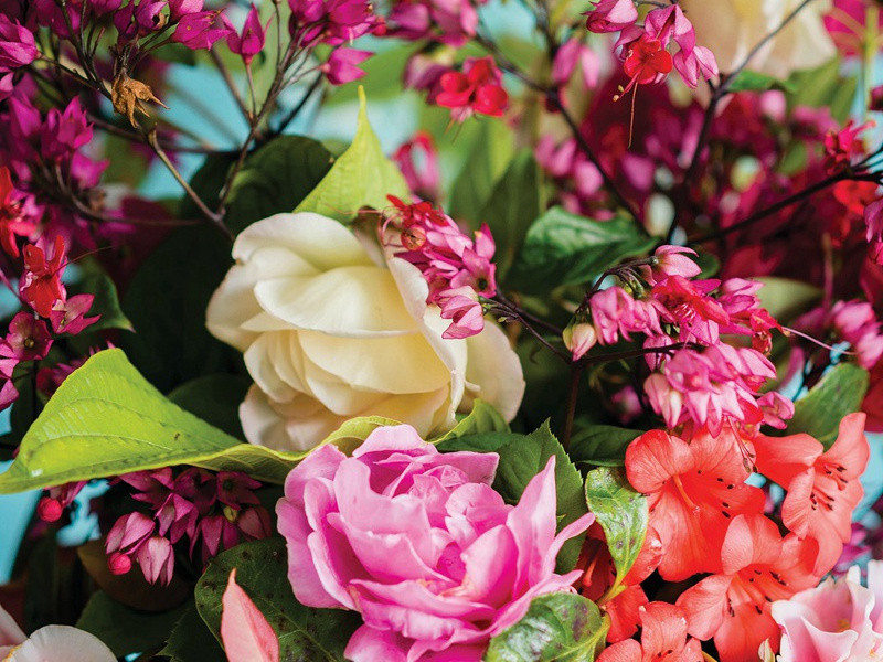 和孙倅见贻八首·其二原文注释译文赏析-曹勋诗词-宋诗全集