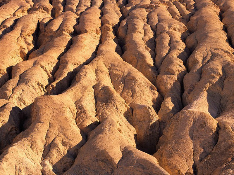 书无闷寮·其二原文注释译文赏析-艾性夫诗词-宋诗全集