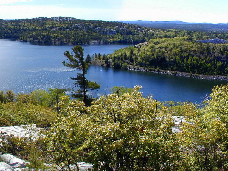题欧阳氏山水后原文注释译文赏析-白玉蟾诗词-宋诗全集
