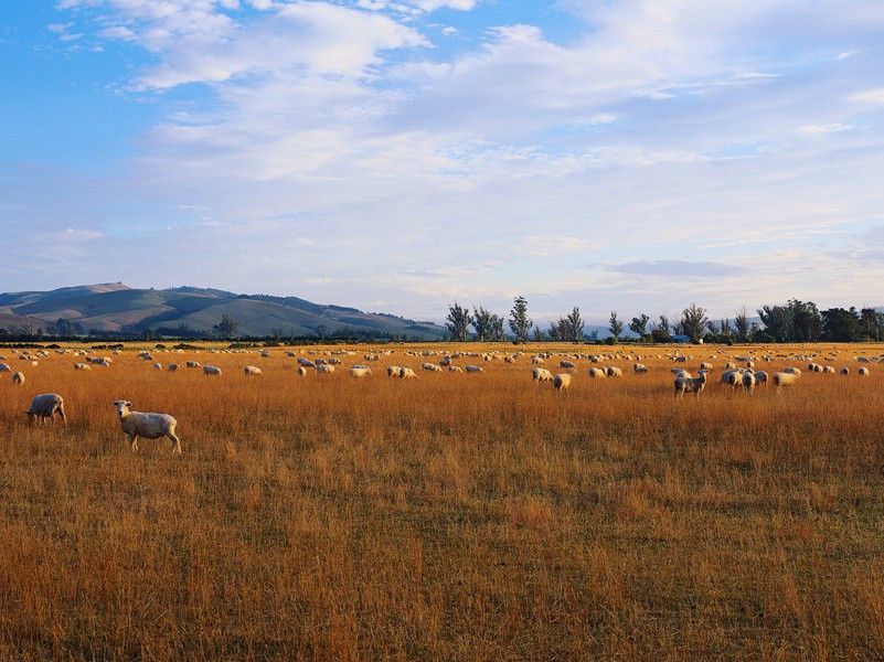 奉酬萧子植原文注释译文赏析-李彭诗词-宋诗全集