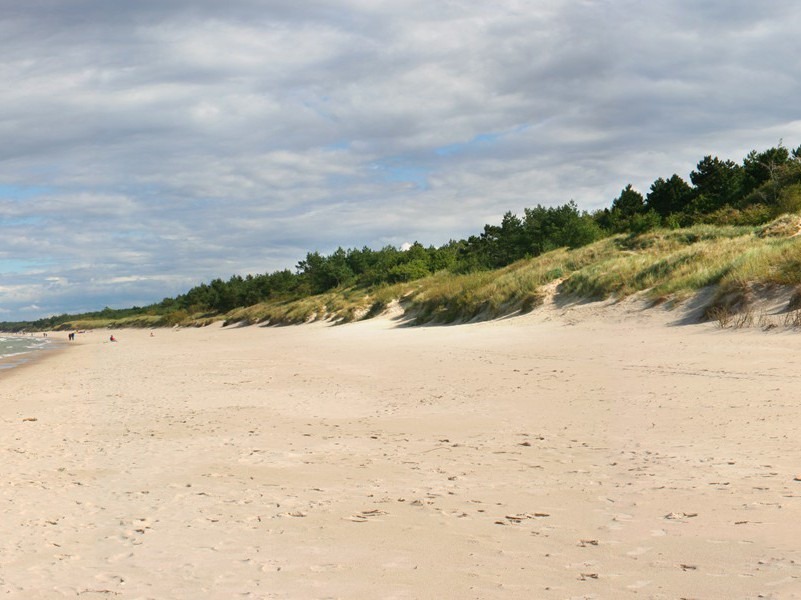 李监饟四物各以一绝答之·鲟鮓原文注释译文赏析-方岳诗词-宋诗全集