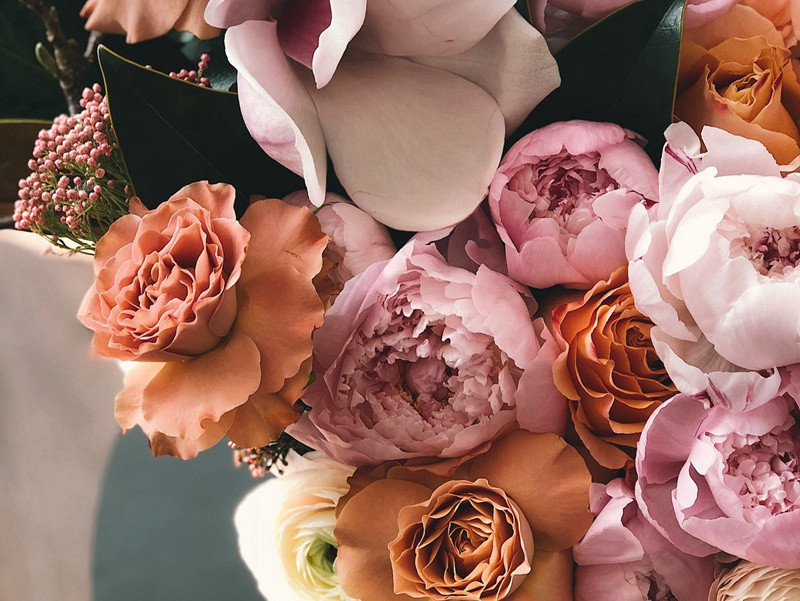 谢王洪伯惠酒炭米五首·其五原文注释译文赏析-包恢诗词-宋诗全集