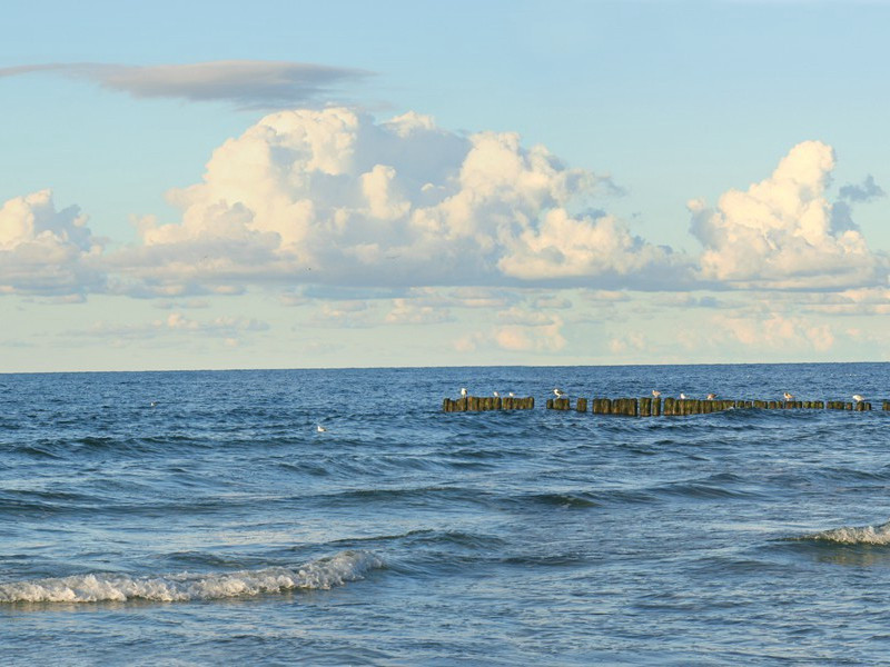 九日访张子直承出看花戏书学舍五首·其四原文注释译文赏析-程颢诗词-宋诗全集