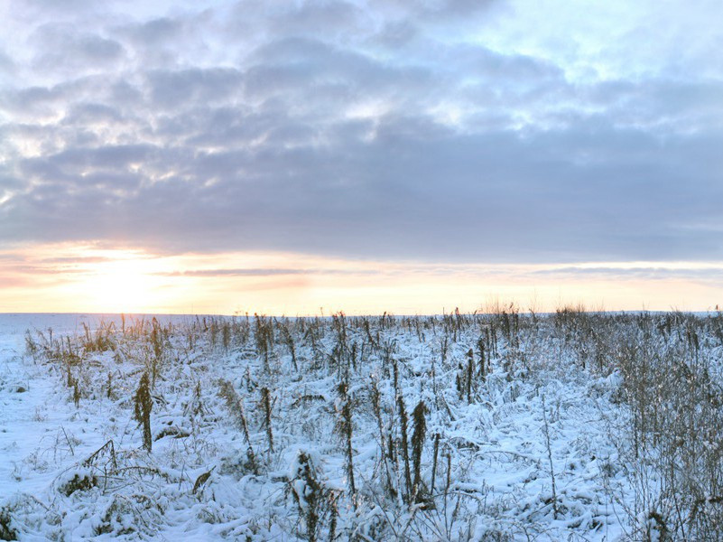 六祖传付偈颂·二祖·其二原文注释译文赏析-黄裳诗词-宋诗全集