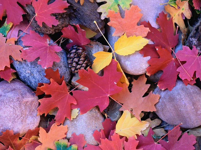 戏书原文注释译文赏析-韩淲诗词-宋诗全集