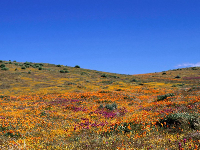 续演雅十诗·其八原文注释译文赏析-白珽诗词-宋诗全集