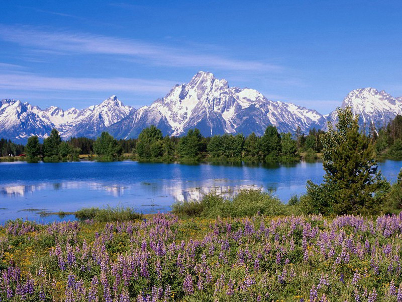 延平六月祈雨感应赓林堂长韵原文注释译文赏析-陈宓诗词-宋诗全集