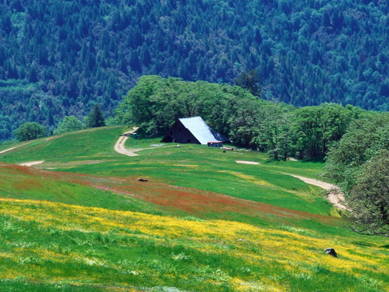 坐白水寺门亭原文注释译文赏析-方回诗词-宋诗全集