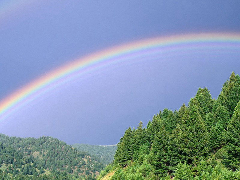 同袁通判游越中三首·赵节使稽山门外花园原文注释译文赏析-陈着诗词-宋诗全集