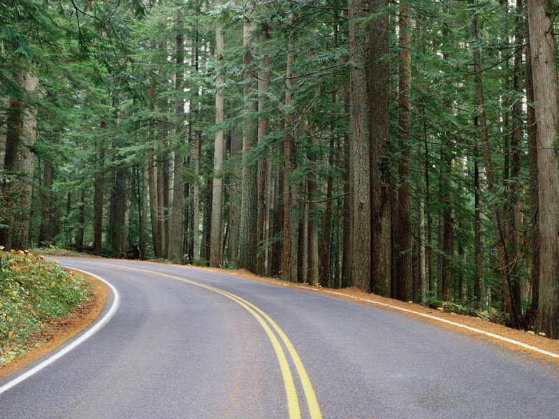 次韵张祠部敏叔游沧浪苏子美故园原文注释译文赏析-程俱诗词-宋诗全集