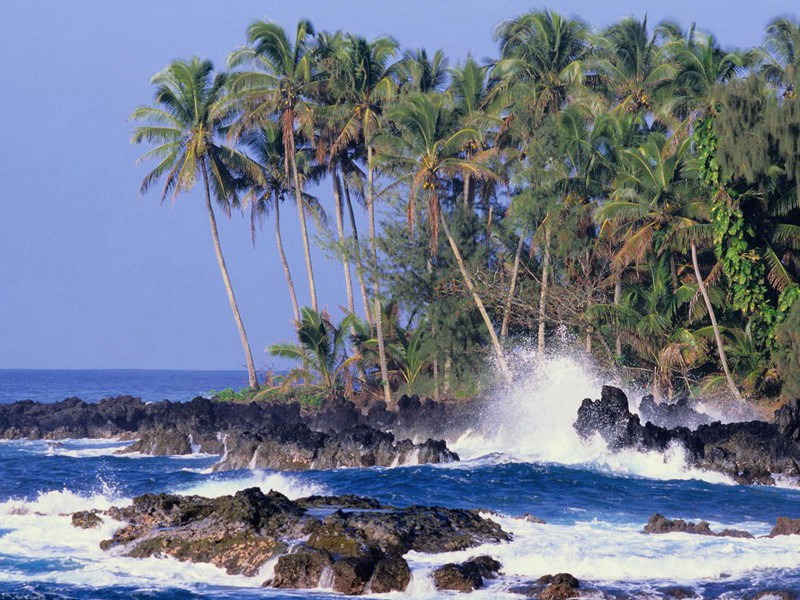 寄严文炳·其四原文注释译文赏析-陈造诗词-宋诗全集