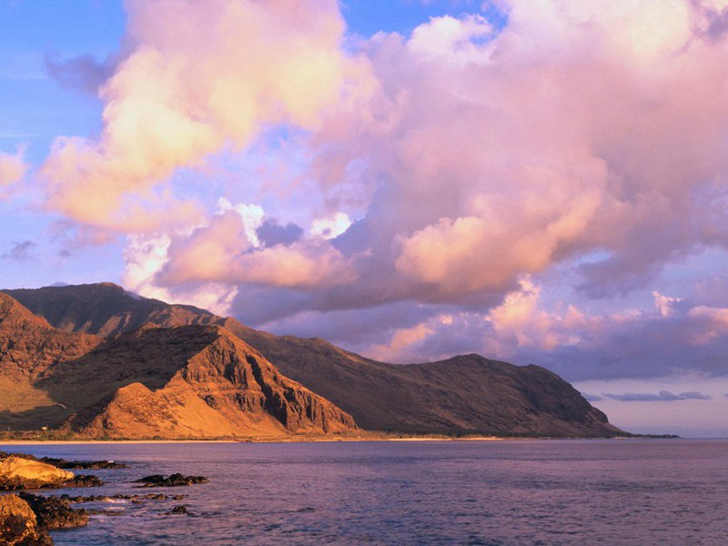 题骆菊岩诗稿原文注释译文赏析-何梦桂诗词-宋诗全集