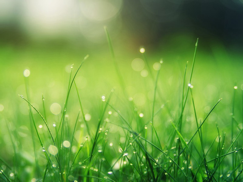 同徐吕二子游西湖复次前韵五首·其二原文注释译文赏析-陈造诗词-宋诗全集