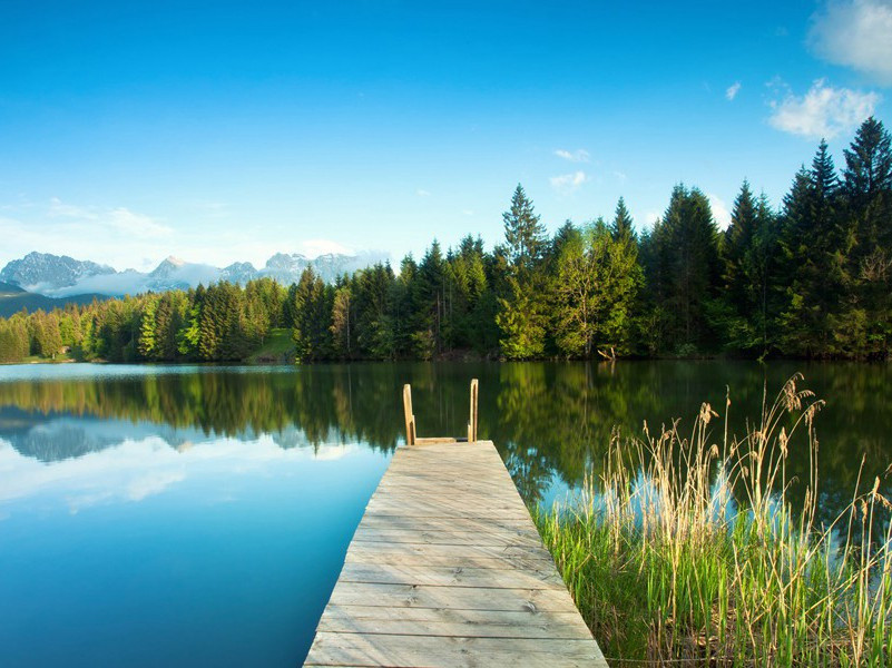 六绝句呈赵帅兼简郑机宜·其六原文注释译文赏析-陈造诗词-宋诗全集