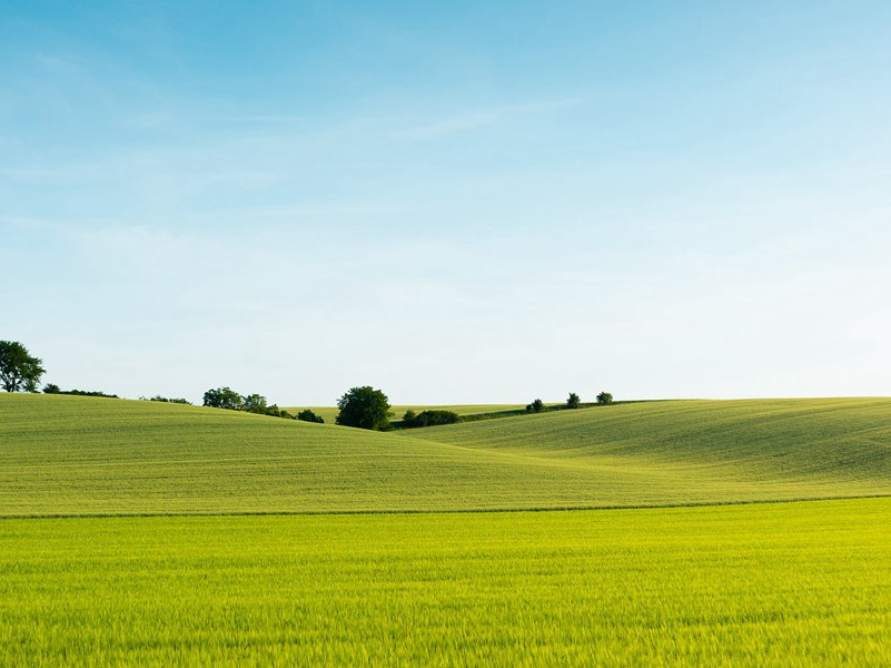 春雪原文注释译文赏析-黎廷瑞诗词-宋诗全集