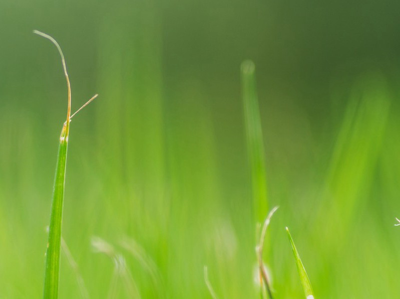 寄题永新张教授无尽藏原文注释译文赏析-范成大诗词-宋诗全集