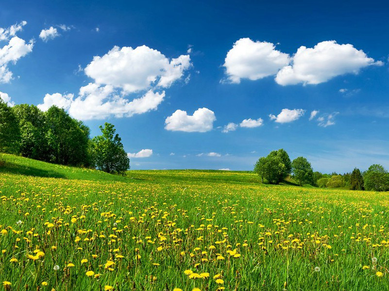 九锁山十咏·云根石原文注释译文赏析-邓牧诗词-宋诗全集